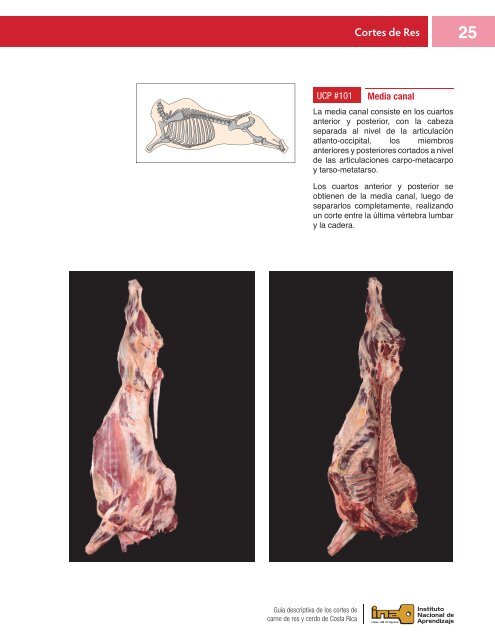 CORTES DE CARNE DE RES YCERDO