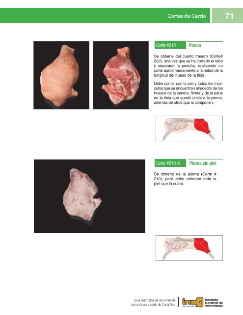 CORTES DE CARNE DE RES YCERDO