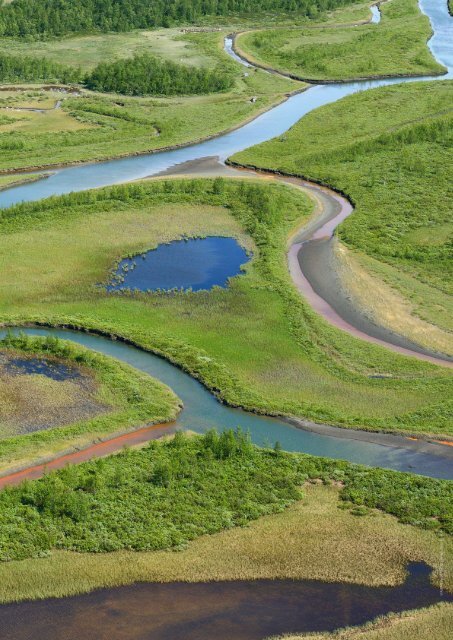 Rewilding Lapland