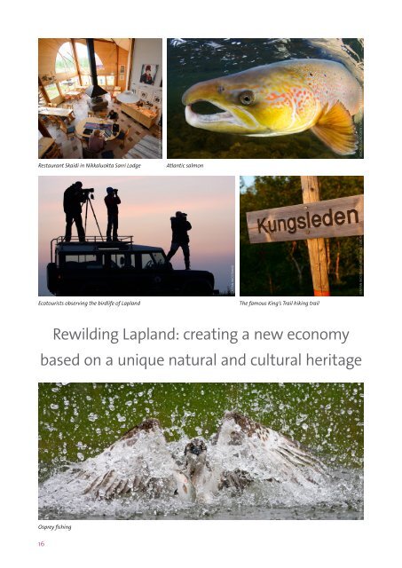 Rewilding Lapland