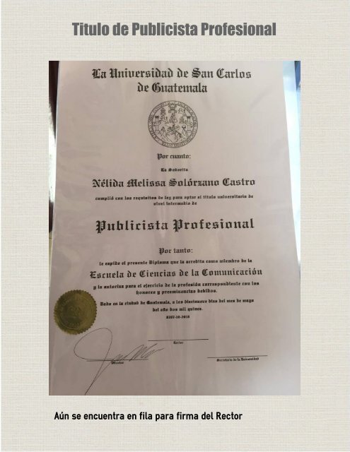 Publicista Profesional