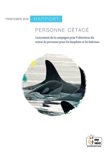 Personne cetace