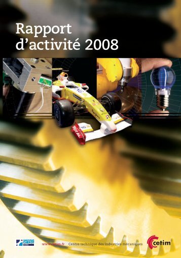 Rapport d'activité 2008 - Cetim