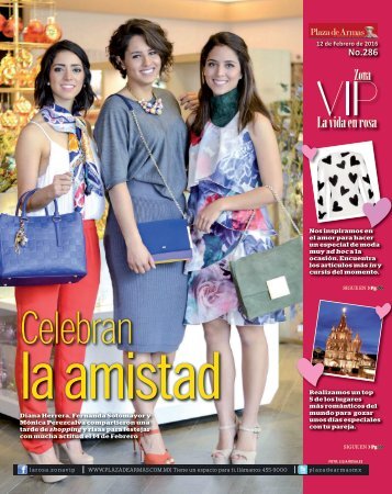 ZONA_VIP_12_FEBRERO_2016