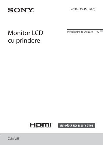 Sony CLM-V55 - CLM-V55 Consignes dâutilisation Roumain