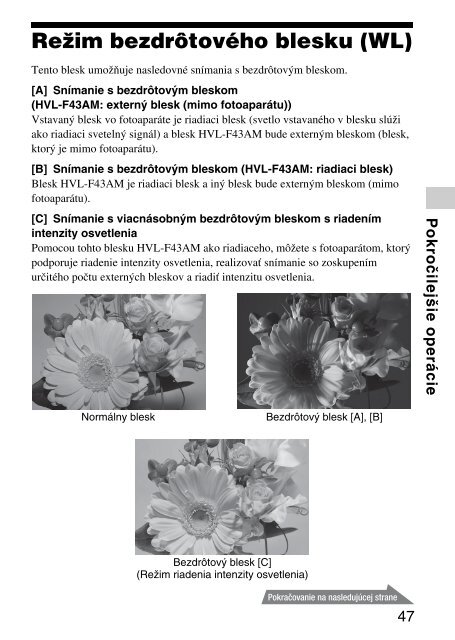 Sony HVL-F43AM - HVL-F43AM Mode d'emploi Tch&egrave;que