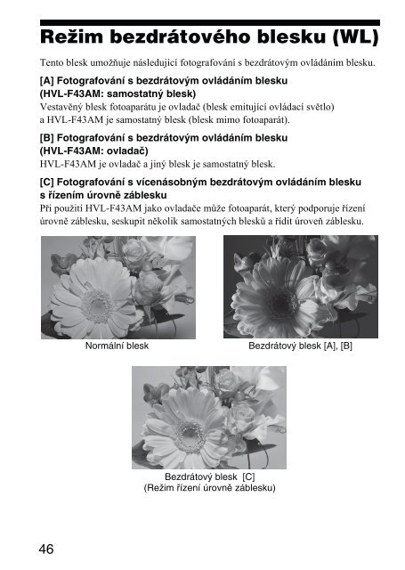 Sony HVL-F43AM - HVL-F43AM Mode d'emploi Tch&egrave;que