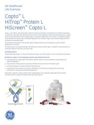 Capto™ L HiTrap™ Protein L HiScreen™ Capto L - GE Healthcare ...