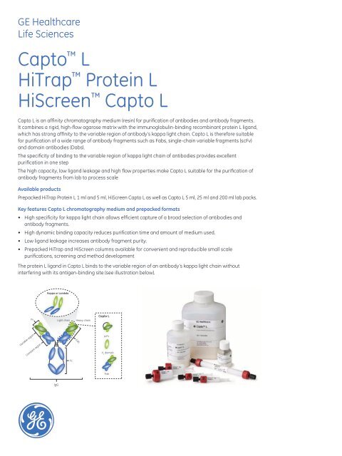 Capto™ L HiTrap™ Protein L HiScreen™ Capto L - GE Healthcare ...