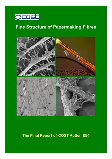 Fine Structure of Papermaking Fibres