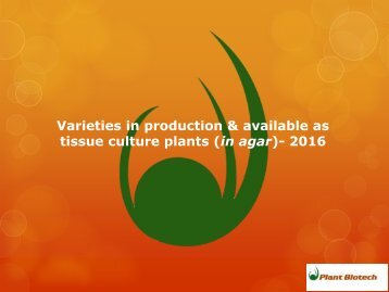 Plants in tissue culture laboratory production_2017