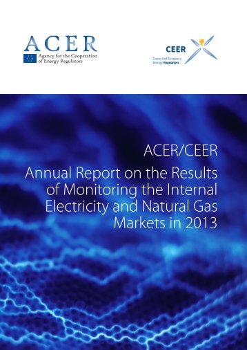 acer_market_monitoring_report_2014_en