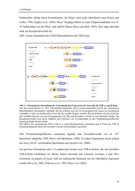 Identifikation und Charakterisierung - OPUS - Universität Würzburg