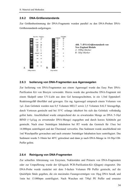 Identifikation und Charakterisierung - OPUS - Universität Würzburg