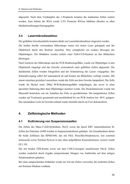 Identifikation und Charakterisierung - OPUS - Universität Würzburg