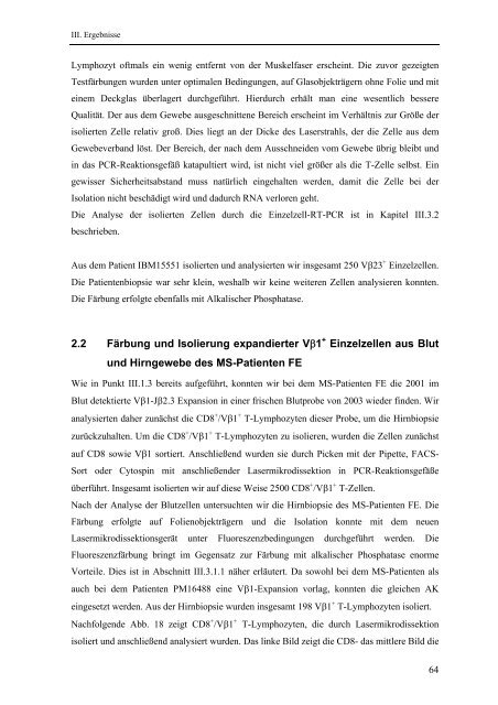 Identifikation und Charakterisierung - OPUS - Universität Würzburg