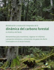 dinámica del carbono forestal