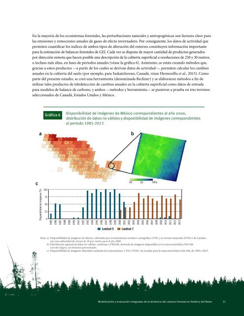 dinámica del carbono forestal