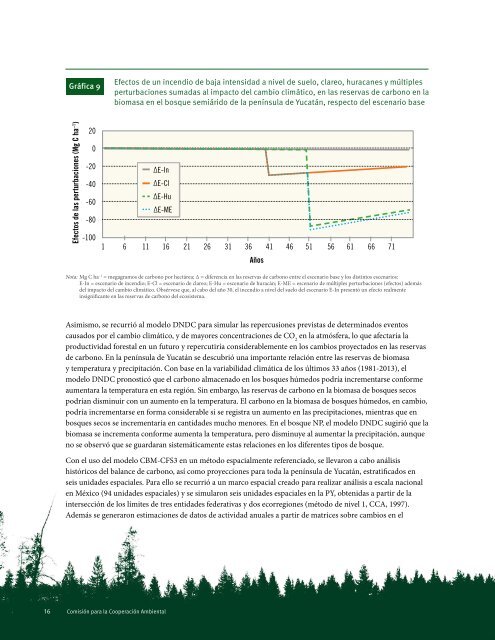 dinámica del carbono forestal