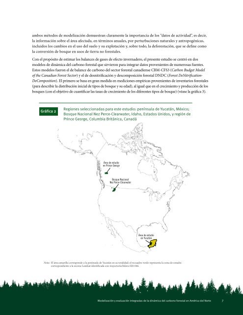 dinámica del carbono forestal