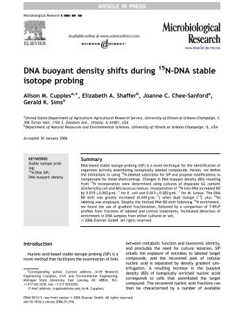 DNA buoyant density shifts during N-DNA stable isotope probing