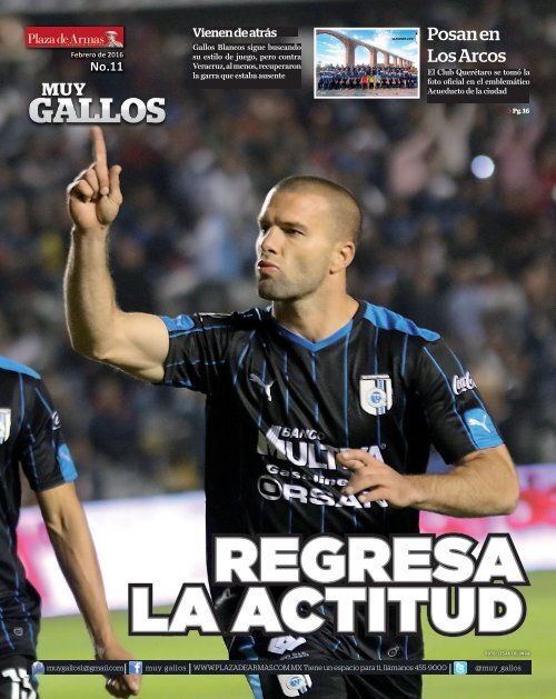 MUY_GALLOS_16_FEBRERO_2016