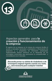 creación y funcionamiento de la empresa