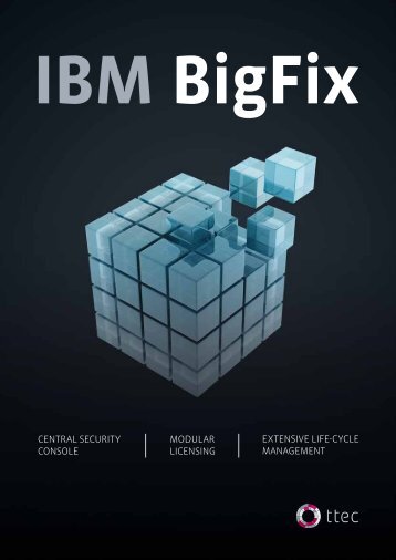 IBM BigFix - TN