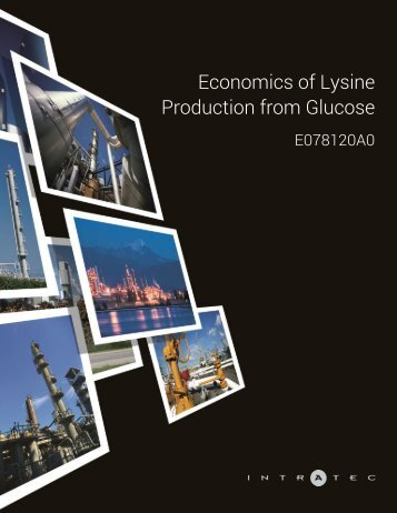 Economics of Lysine Production from Glucose