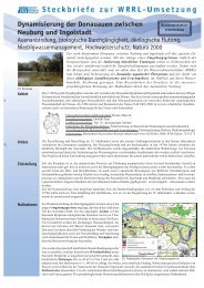 Dynamisierung der Donauauen zwischen Neuburg und Ingolstadt