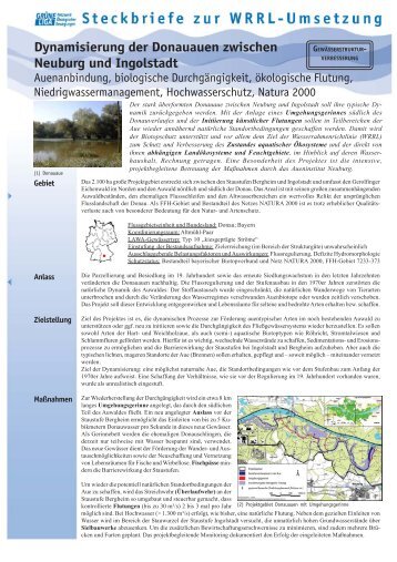 Dynamisierung der Donauauen zwischen Neuburg und Ingolstadt