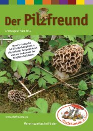 Der Pilzfreund - Erstausgabe