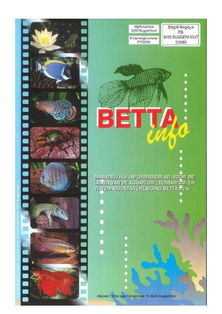 2016 - 02 - Betta-Info