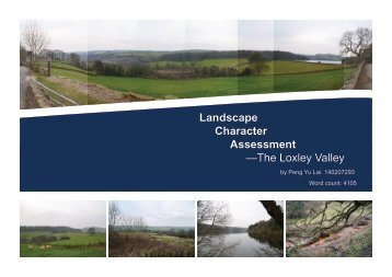 Landscape character assessment