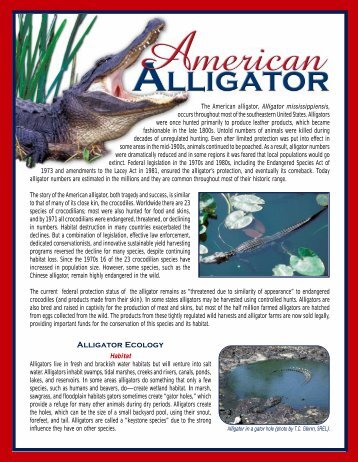 gator fact sheet - Savannah River Ecology Laboratory