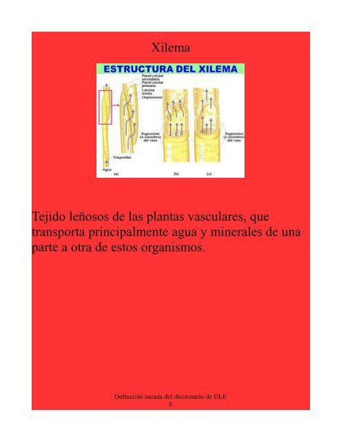 Diccionario Pictórico del Uso de la s, c, x y z PDF