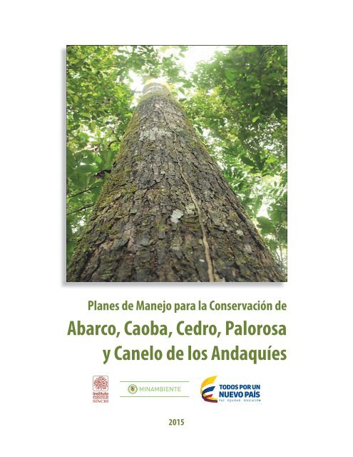 Abarco Caoba Cedro Palorosa y Canelo de los Andaquíes