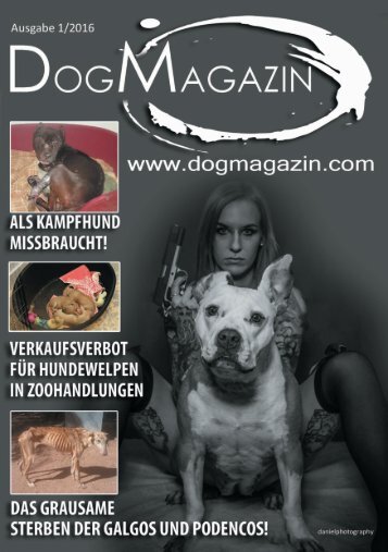 Ausgabe 1_2016