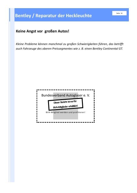 NEWSLETTER - Bundesverband Autoglaser eV