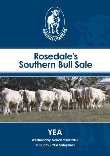 Southern Bull Sale
