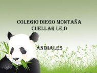 informatica-tema animales