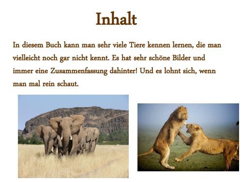 Wilde Tiere