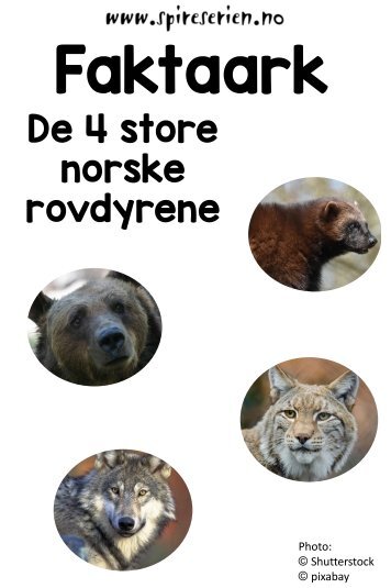 De_fire_store_rovdyrene