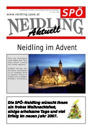 Neidling im Advent - SPÖ Neidling