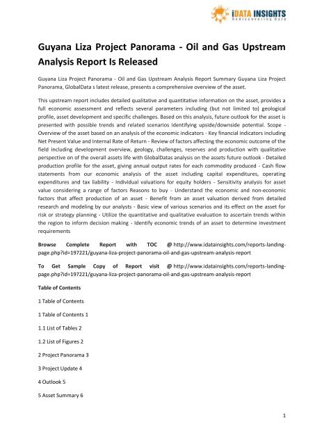 Guyana Liza Project Panorama  Oil and Gas Upstream 