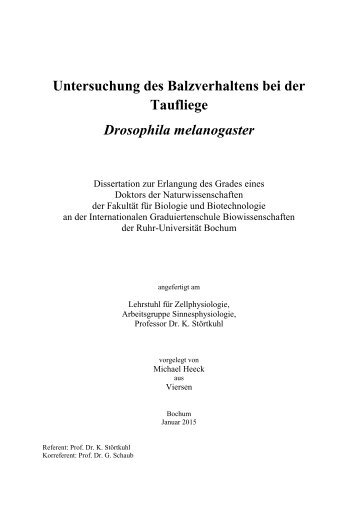 Untersuchung des Balzverhaltens bei der Taufliege Drosophila melanogaster