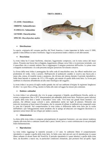 TROTA IRIDEA.pdf - Home | Ufficio Pesca della Provincia di Grosseto