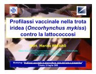 Profilassi vaccinale nella trota iridea (Oncorhynchus mykiss) contro ...