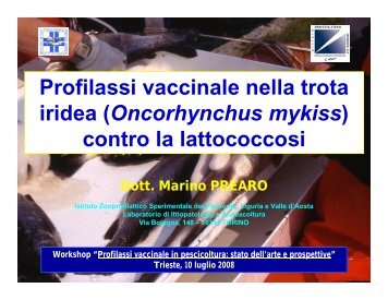 Profilassi vaccinale nella trota iridea (Oncorhynchus mykiss) contro ...