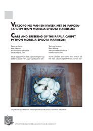 VERZORGING VAN EN KWEEK MET DE PAPOEA- TAPIJTPYTHON ...